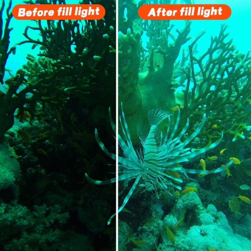Photography Lighting Reference - M5TD Lampada da immersione per Action