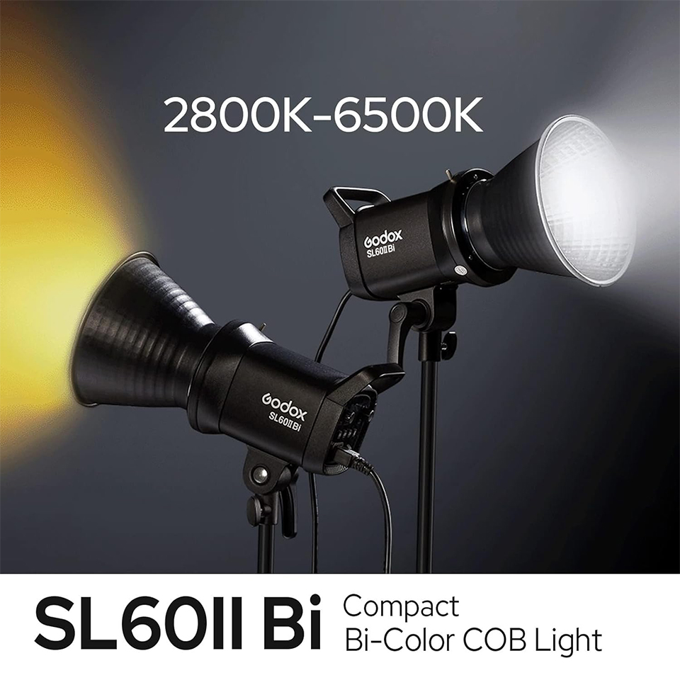 Godox SL60IID SL60IIBi Luce LE - Photography Lighting Grid recensione e prezzo