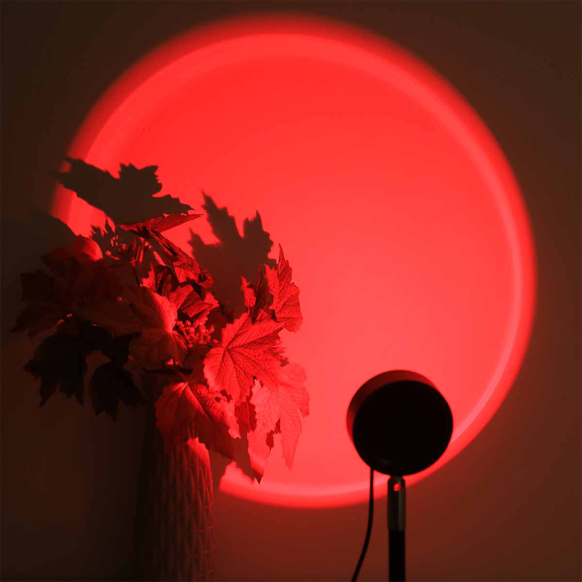Lampada di Proiezione Tramonto - Photography Lighting Wall recensione e prezzo